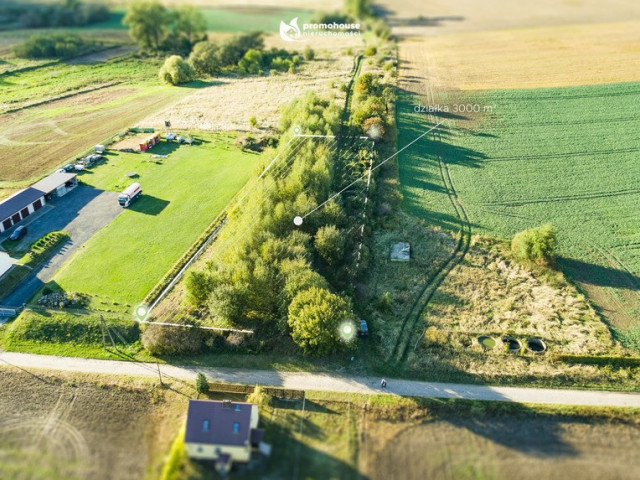 Działka Sprzedaż Borzym