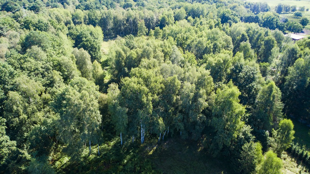 Działka Sprzedaż Świnoujście Łunowo 6