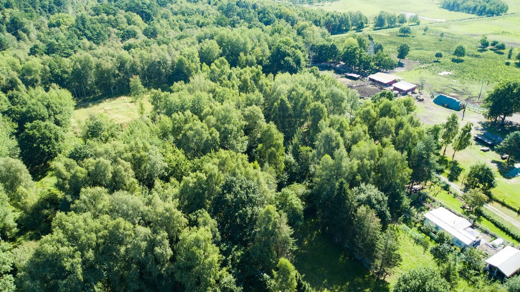 Działka Sprzedaż Świnoujście Łunowo 8