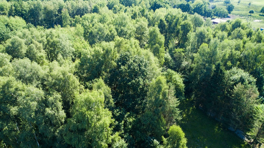 Działka Sprzedaż Świnoujście Łunowo 9