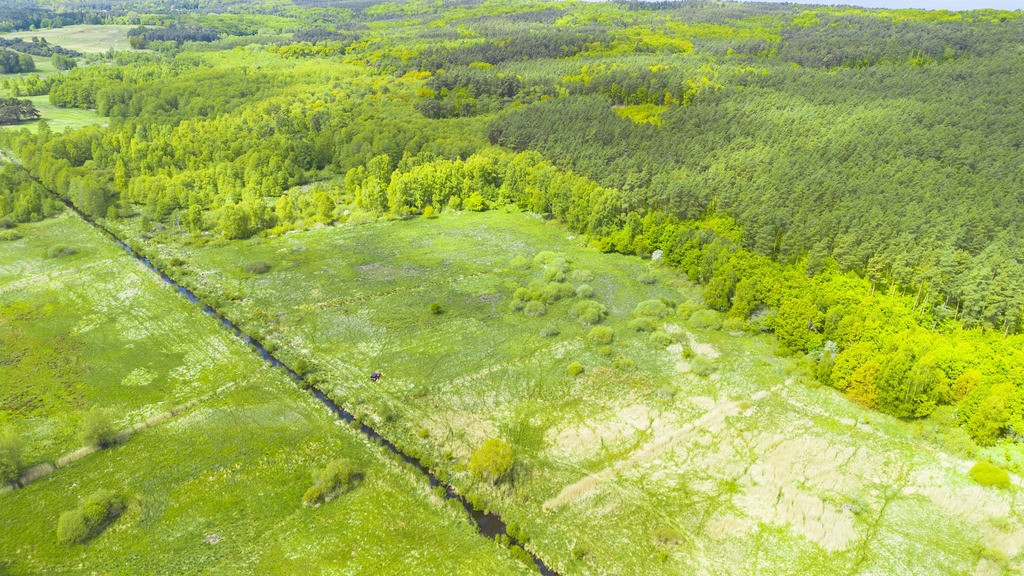 Działka Sprzedaż Kołczewo 5