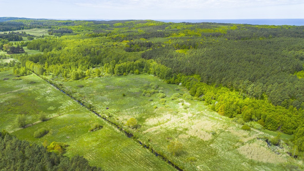 Działka Sprzedaż Kołczewo 6