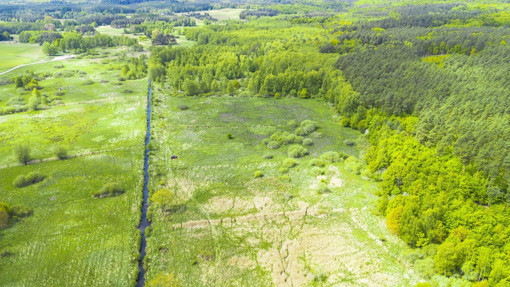 Działka Sprzedaż Kołczewo 7