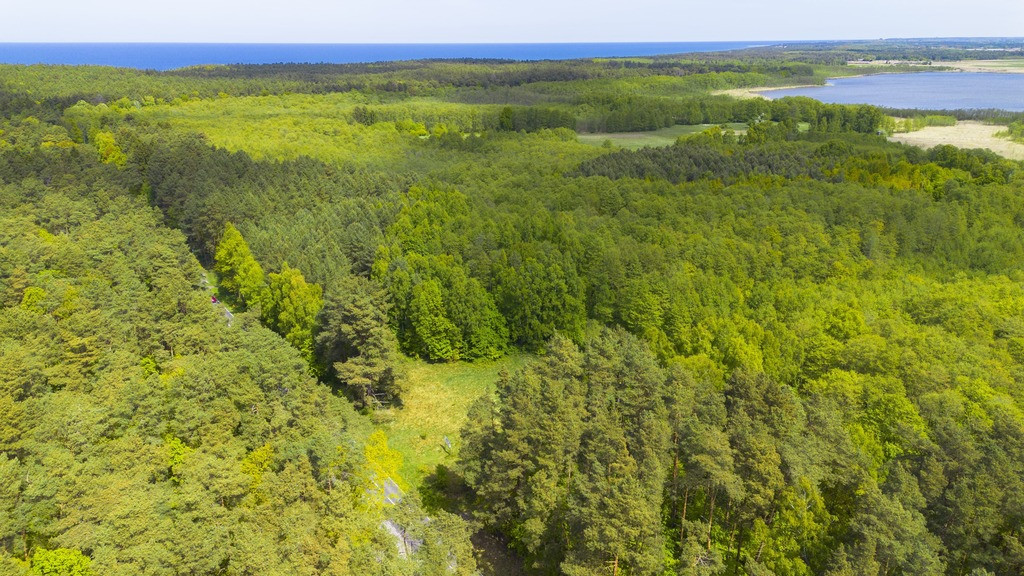 Działka Sprzedaż Kołczewo 7
