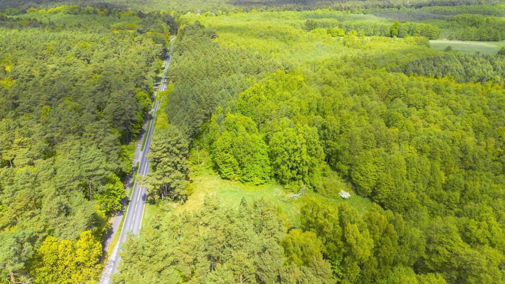 Działka Sprzedaż Kołczewo 8