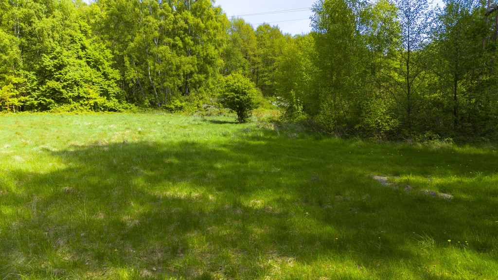 Działka Sprzedaż Kołczewo 12