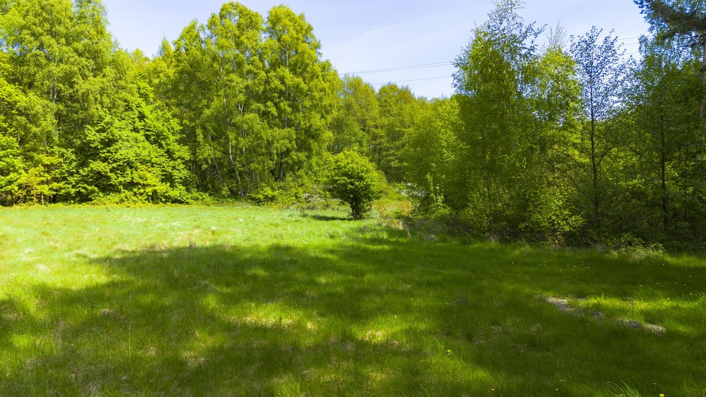 Działka Sprzedaż Kołczewo 13