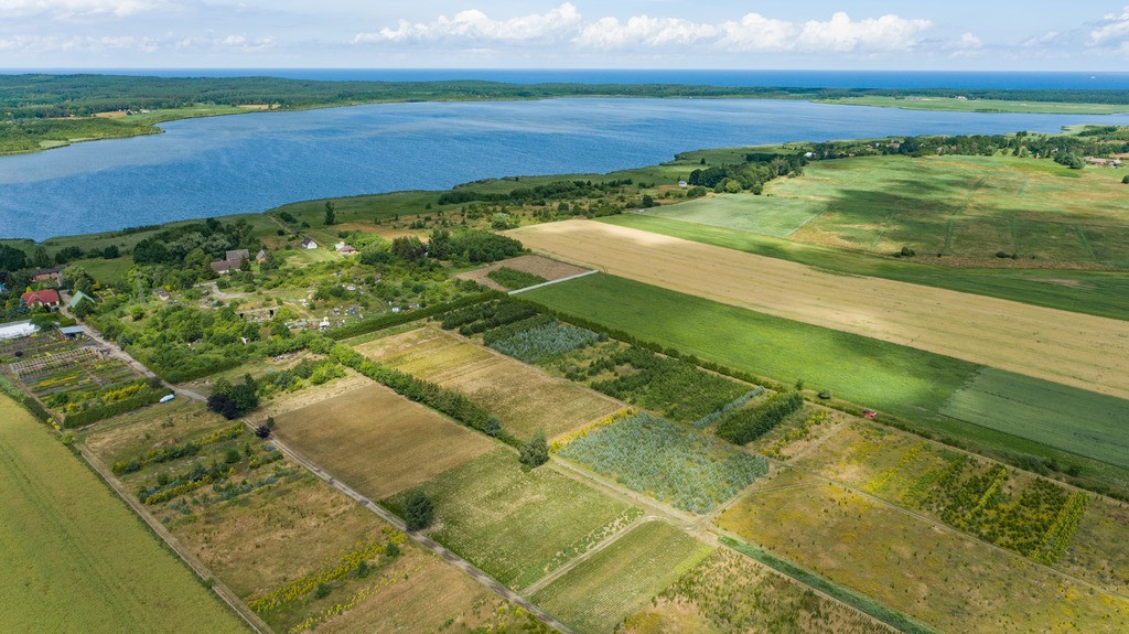 Działka Sprzedaż Chynowo