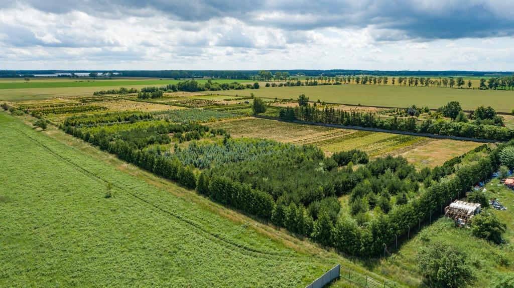 Działka Sprzedaż Chynowo
