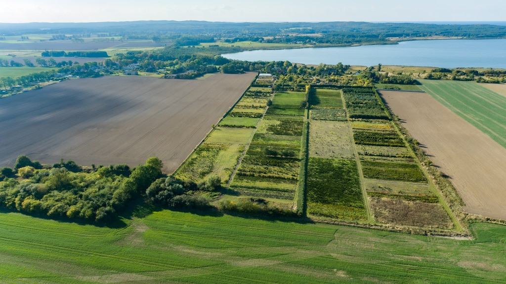 Działka Sprzedaż Chynowo 3