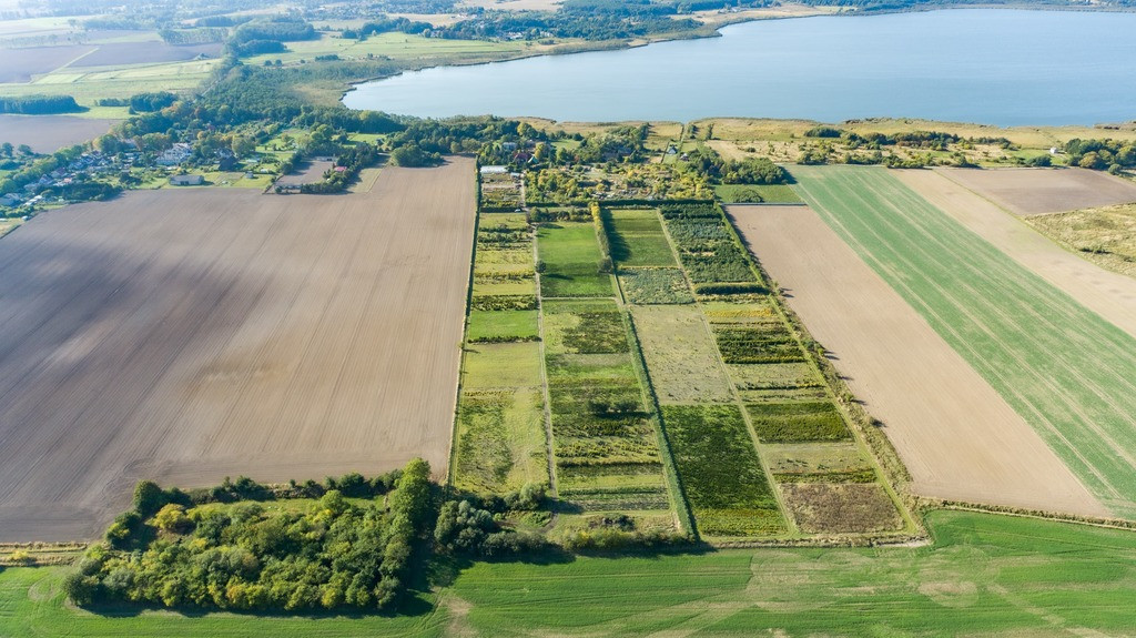 Działka Sprzedaż Chynowo 4