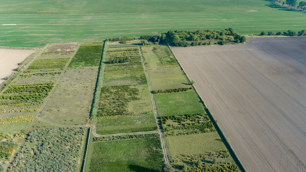 Działka Sprzedaż Chynowo 20