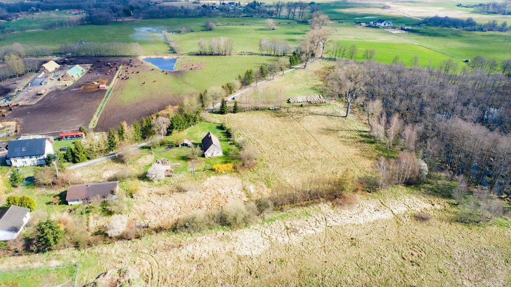 Działka Sprzedaż Ładzin 8