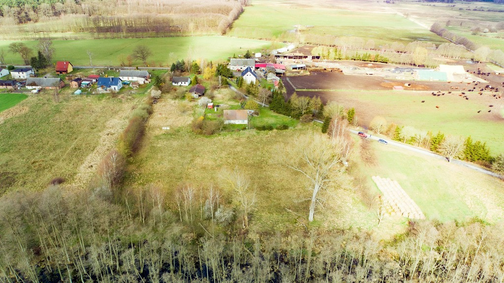 Działka Sprzedaż Ładzin 10