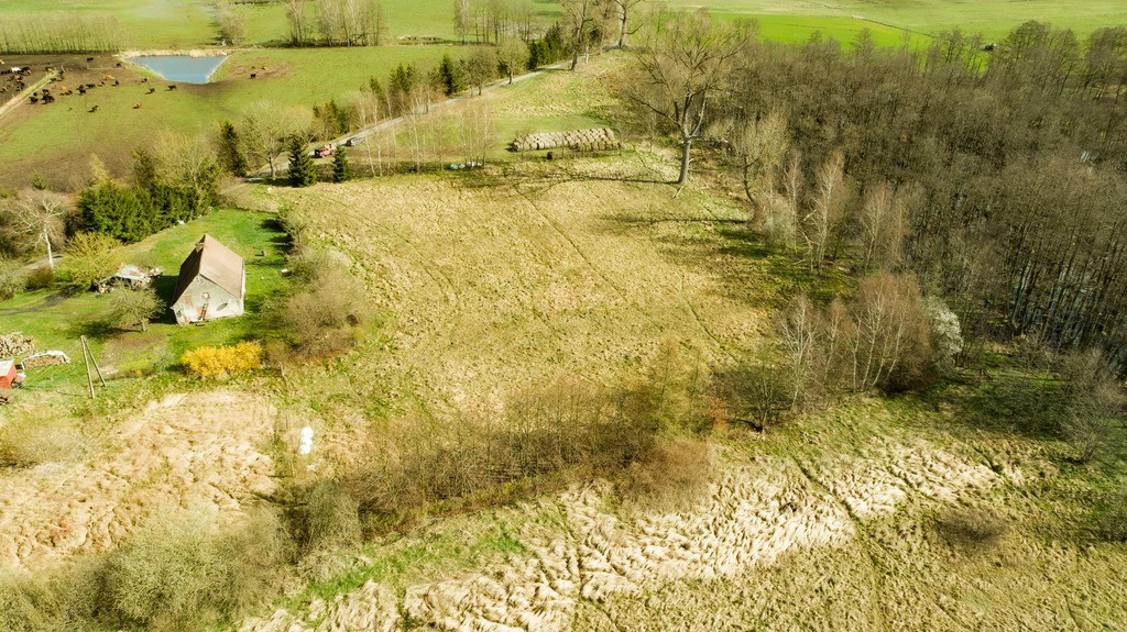 Działka Sprzedaż Ładzin
