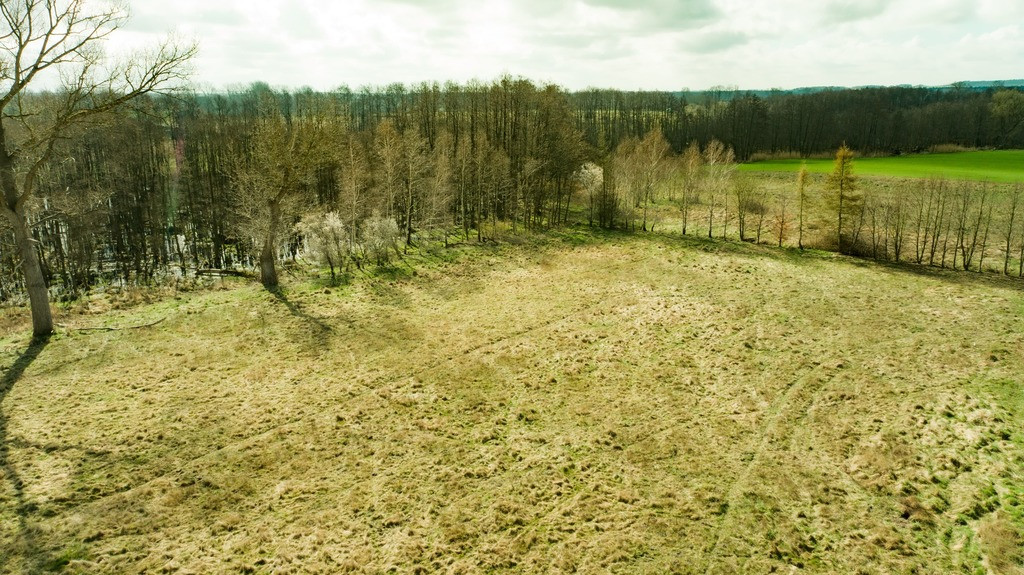 Działka Sprzedaż Ładzin