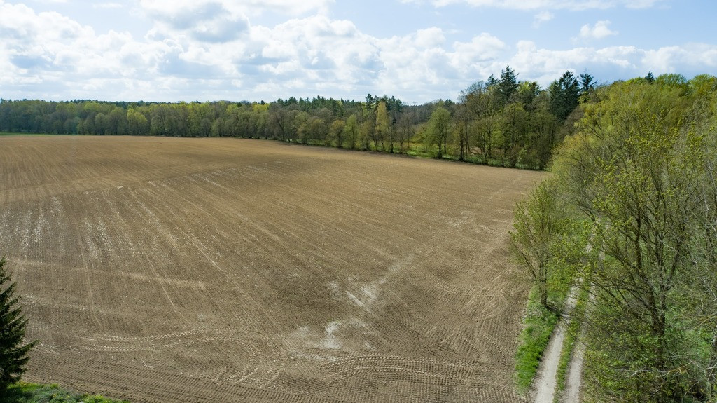 Działka Sprzedaż Wolin 18
