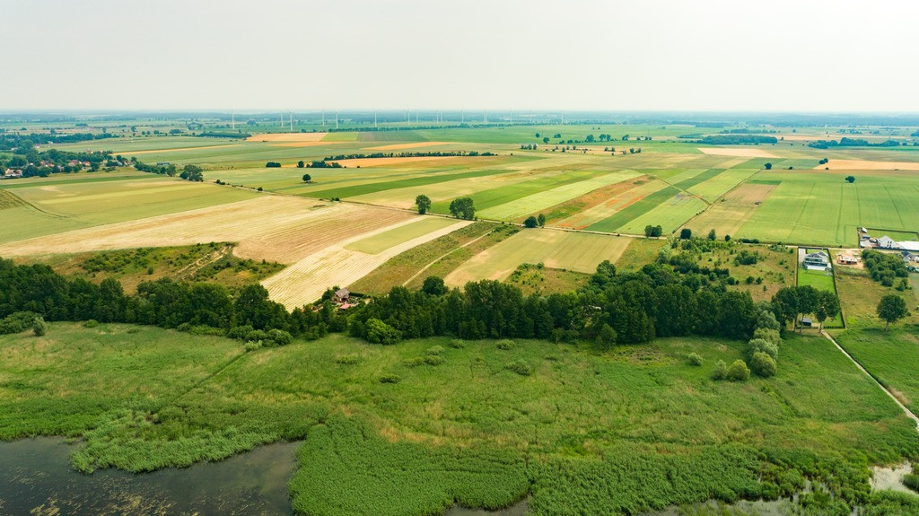 Działka Sprzedaż Wolin
