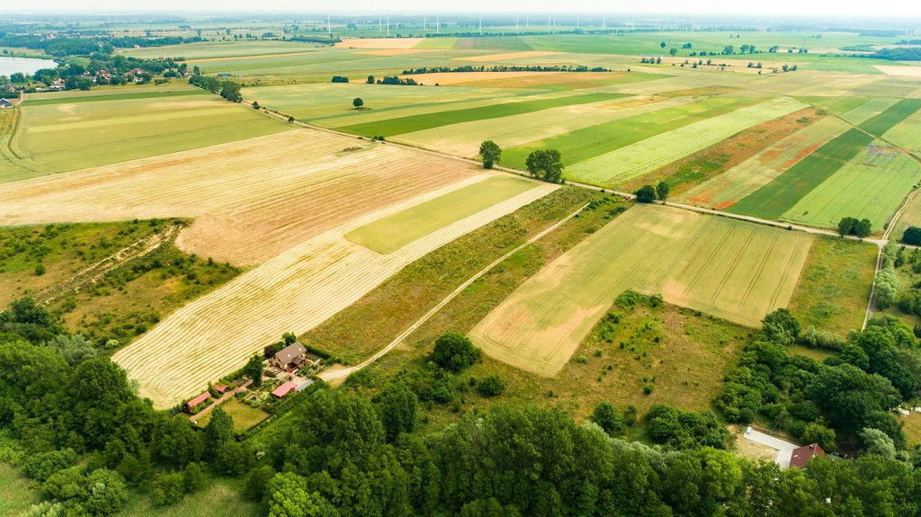 Działka Sprzedaż Wolin