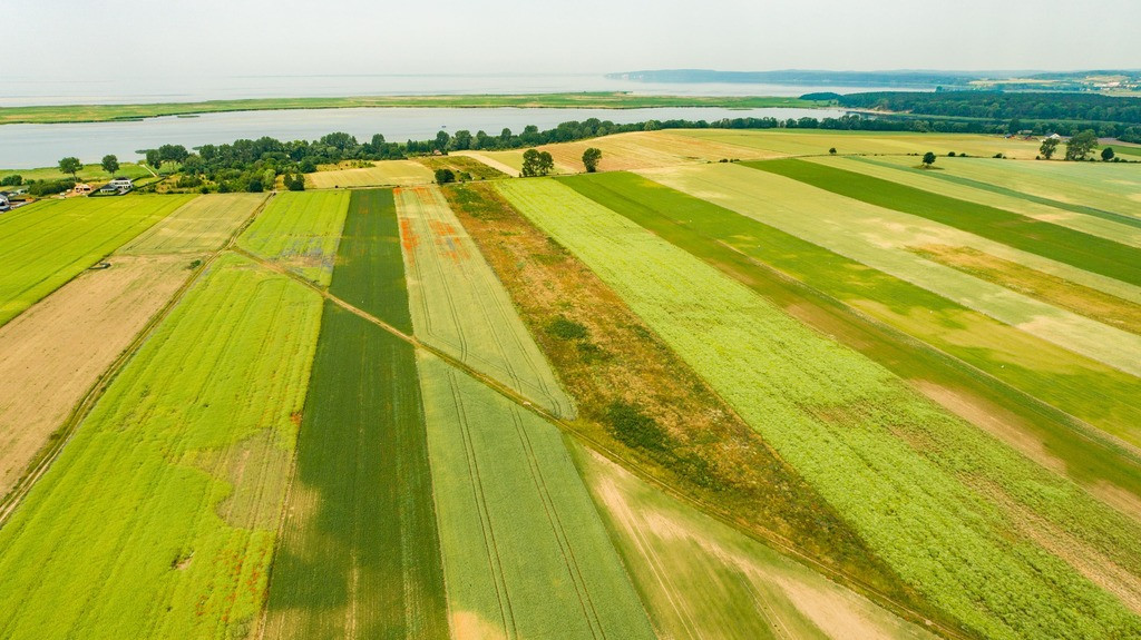 Działka Sprzedaż Wolin