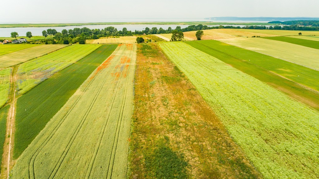 Działka Sprzedaż Wolin