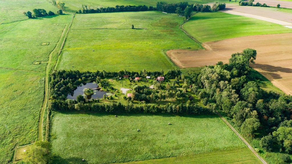 Działka Sprzedaż Strzeżewo 38