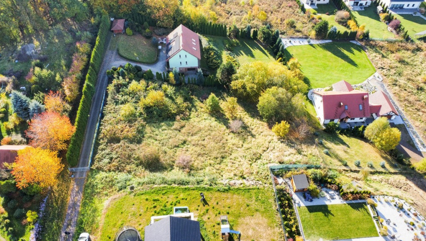 Działka Sprzedaż Dziećmorowice Leśna