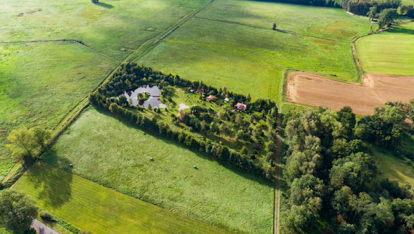 Działka Sprzedaż Strzeżewo