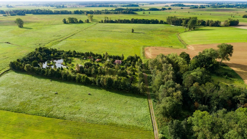 Działka Sprzedaż Strzeżewo