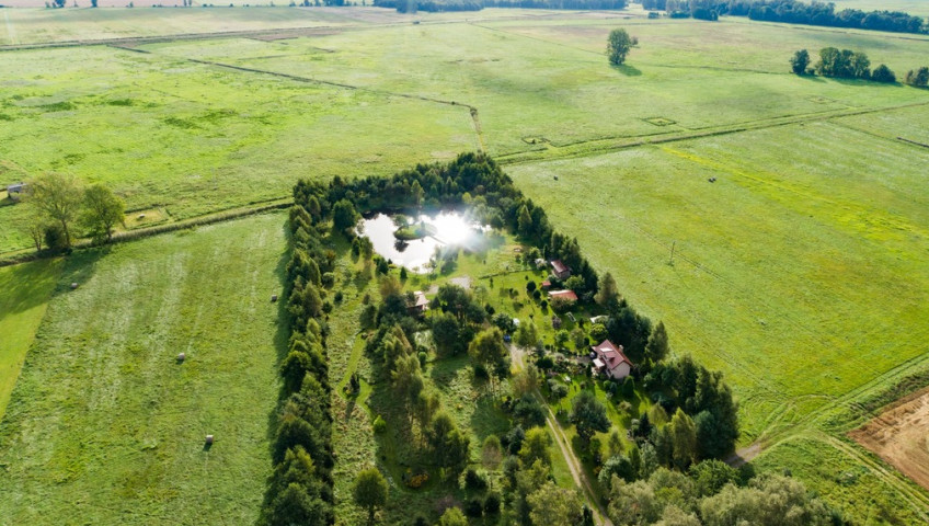Działka Sprzedaż Strzeżewo