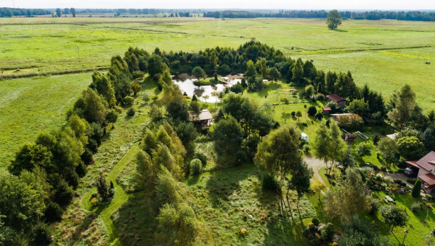 Działka Sprzedaż Strzeżewo