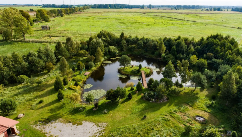 Działka Sprzedaż Strzeżewo